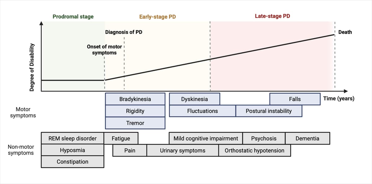 Progression of PD